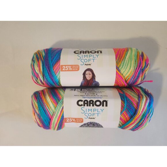 Caron Simply Soft Paints 2 Yarns Rainbow Bright Same Lot - Picture 1 of 6